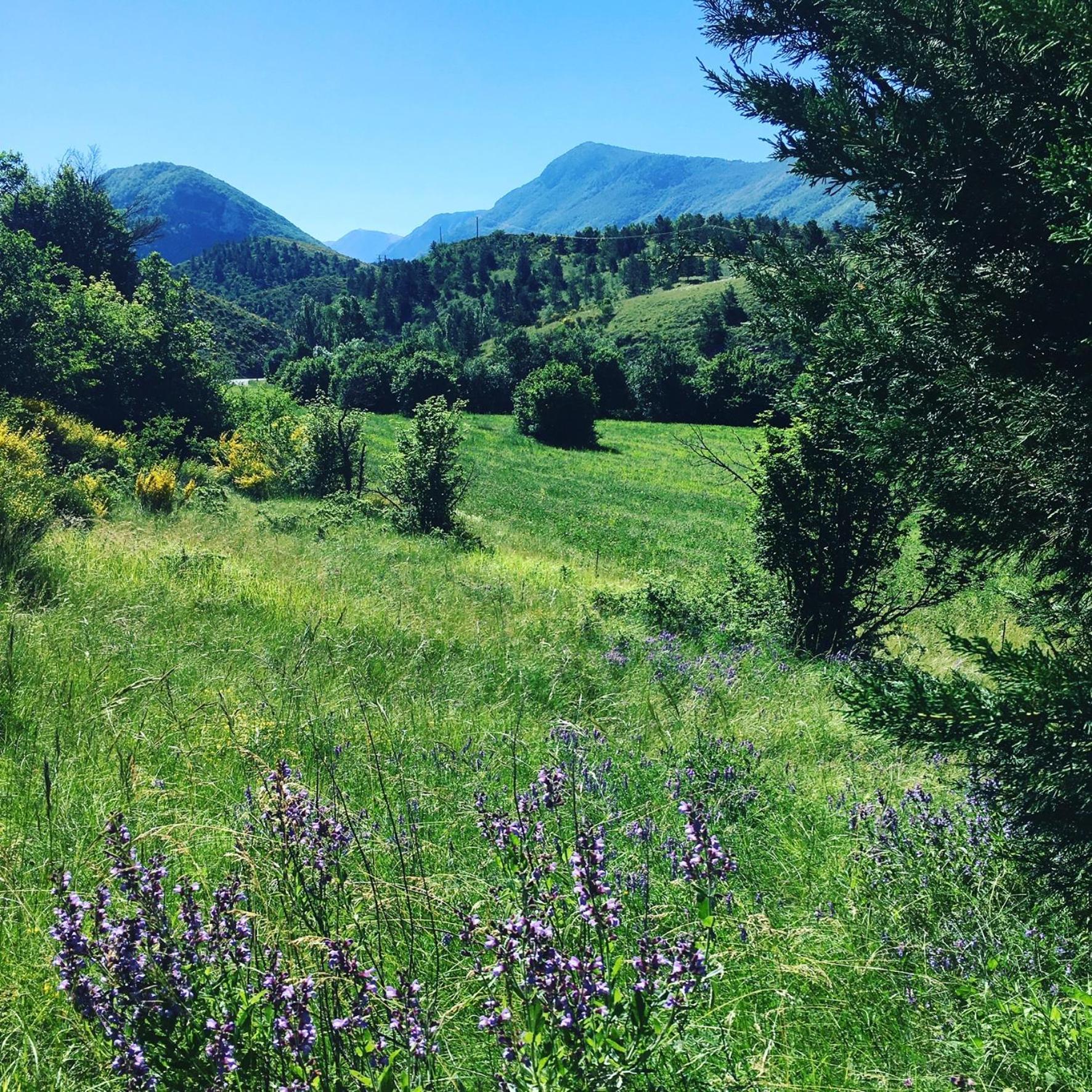 Les Omergues Le Moulin De La Viorne, Gite Avec Piscine Au Coeur De La Nature En Haute-Provence מראה חיצוני תמונה