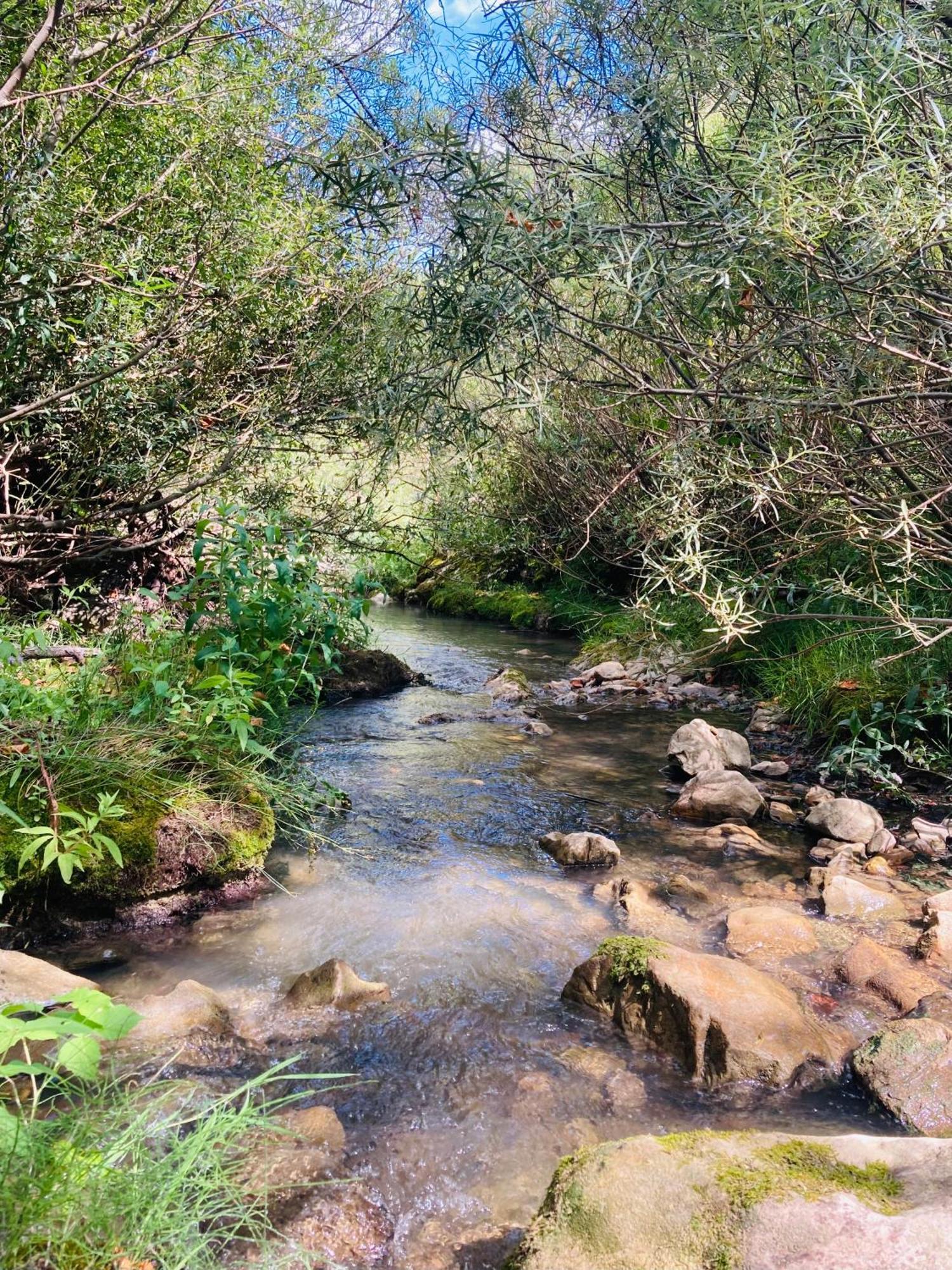 Les Omergues Le Moulin De La Viorne, Gite Avec Piscine Au Coeur De La Nature En Haute-Provence מראה חיצוני תמונה